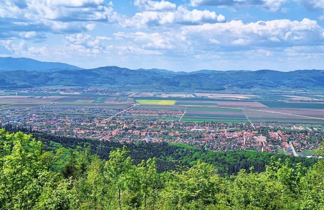 Neustadt Villa Cristian  Esterno foto