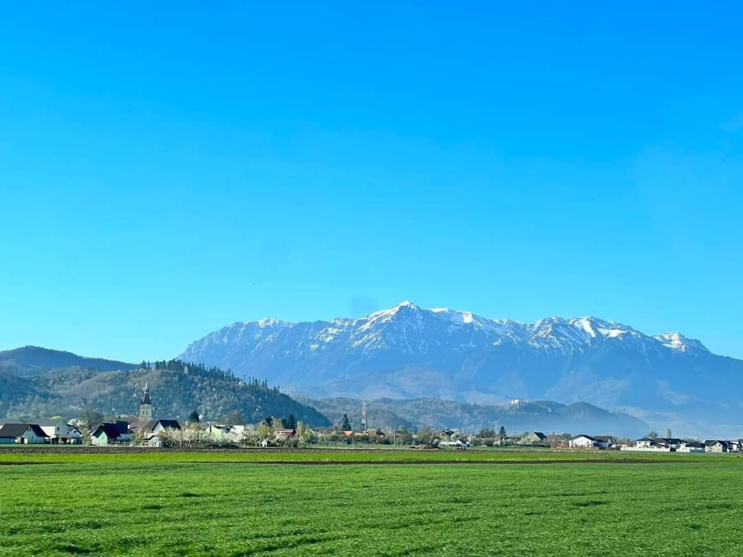 Neustadt Villa Cristian  Esterno foto